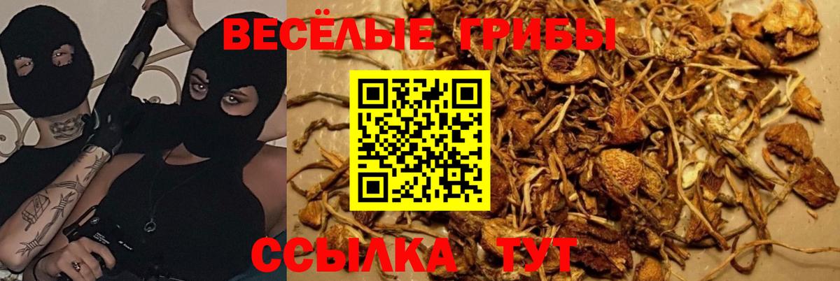 Псилоцибиновые грибы ЛСД  Вход с VPN  Псилоцибиновые грибы ЛСД  Копейск 